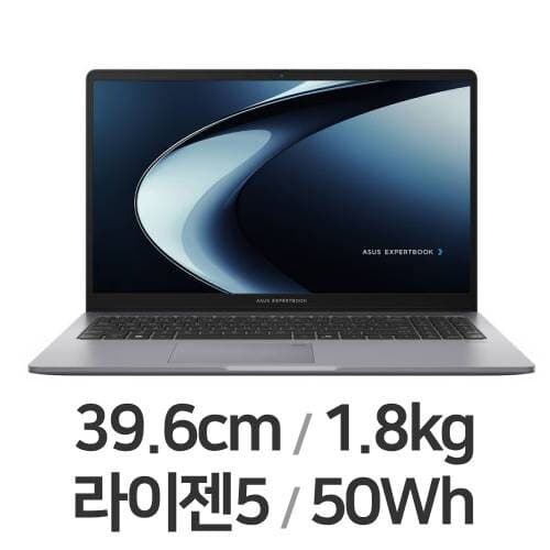 엑스퍼트북 P1 15 2025