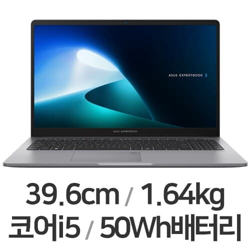 엑스퍼트북 P1 15.6 2025